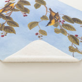 Carbonated Warbler Audubon Bird Sherpadecke (3/4)