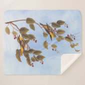 Carbonated Warbler Audubon Bird Sherpadecke (Vorderseite (Horizontal))