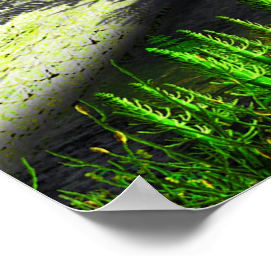 Carboniferous Fern Poster (Ecke)