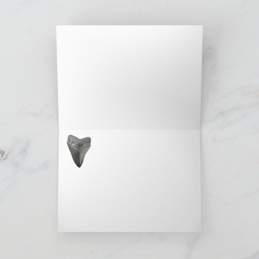 Carcharocles megalodon karte (Innenseite)