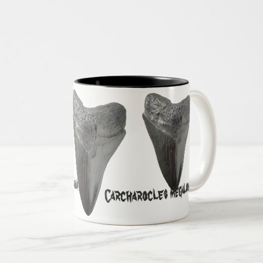 Carcharocles megalodon Zahn Zweifarbige Tasse (VorderseiteRechts)