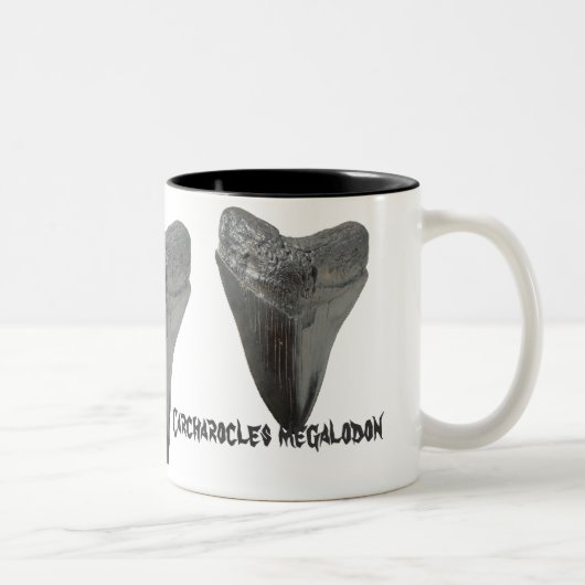 Carcharocles megalodon Zahn Zweifarbige Tasse (Rechts)
