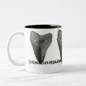 Carcharocles megalodon Zahn Zweifarbige Tasse (Links)