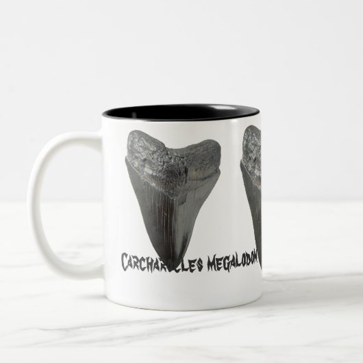 Carcharocles megalodon Zahn Zweifarbige Tasse (Links)