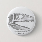 Carcharodontosaurus saharicus Schädelknopf Button (Vorderseite)