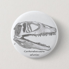 Carcharodontosaurus saharicus Schädelknopf Button