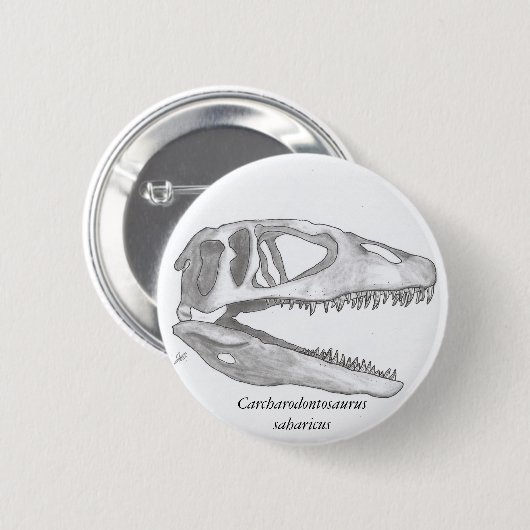 Carcharodontosaurus saharicus Schädelknopf Button (Vorne & Hinten)
