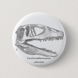 Carcharodontosaurus saharicus Schädelknopf Button