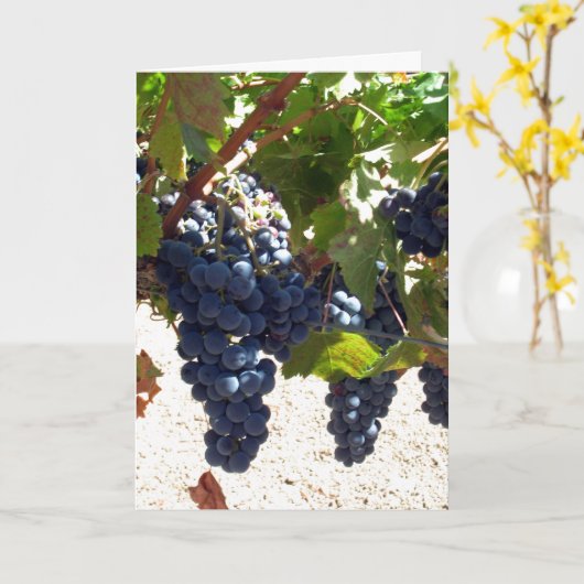 Card - Greeting - Grapes on vine Karte (Gelbe Blume)