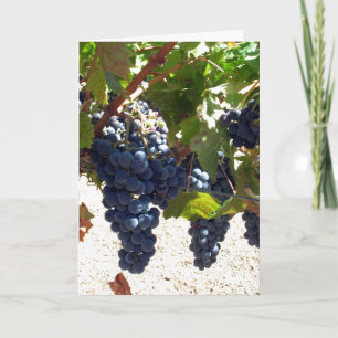 Card - Greeting - Grapes on vine Karte