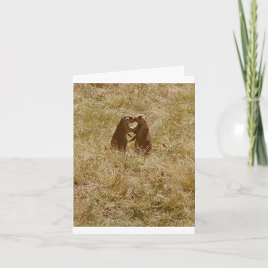 Card has cute foto of 2 prairie dogs 'chatting' karte (Vorderseite)