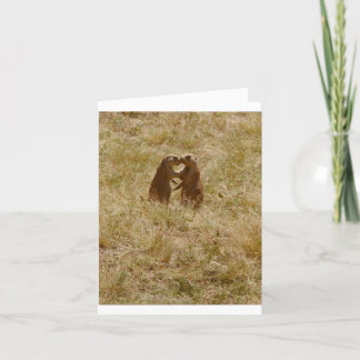 Card has cute foto of 2 prairie dogs 'chatting' karte