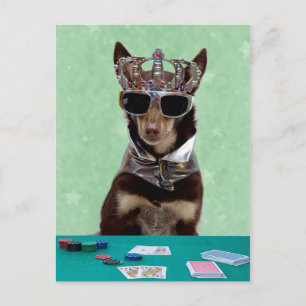Card Shark King Postkarte