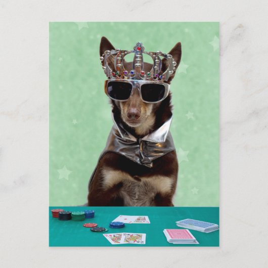 Card Shark King Postkarte (Vorderseite)