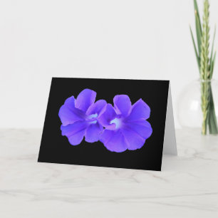 Card, "Two Perfekt Purple Morninglories" Karte