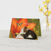 Card White Cat Kitten Blume "Denken Sie an Sie" Karte (Gelbe Blume)