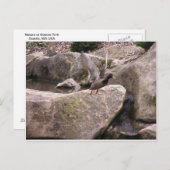 Card: Z Postcard: Nature Kubota Park, Seattle, WA Postkarte (Vorne/Hinten)