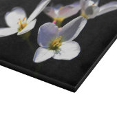 Cardamine Pratensis Blume cbcnm Schneidebrett (Ecke)