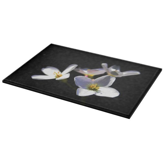 Cardamine Pratensis Blume cbcnm Schneidebrett (Ecke)