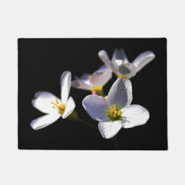 Cardamine Pratensis Blume dmcnm Fußmatte