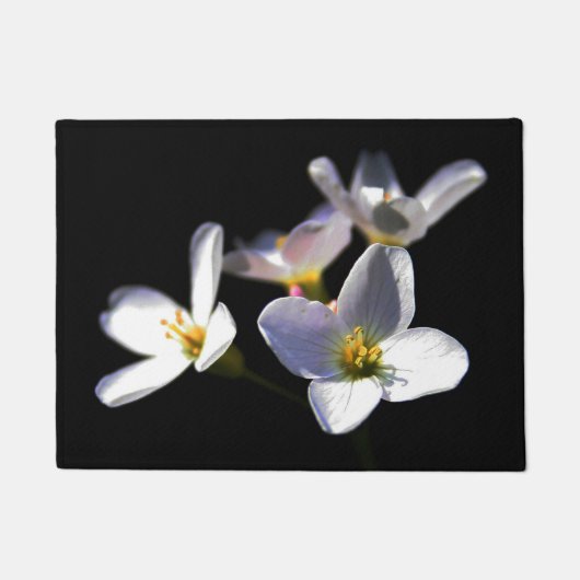Cardamine Pratensis Blume dmcnm Fußmatte (Vorderseite)