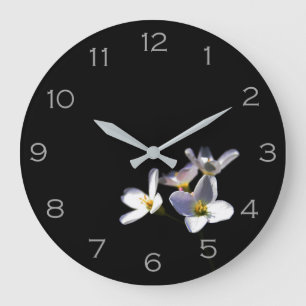 Cardamine Pratensis Blume Grau Zahlen wccn Große Wanduhr