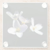 Cardamine Pratensis Blume Küstenercnm Glasuntersetzer (Rückseite)