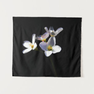 Cardamine Pratensis Blume mit Wandteppich