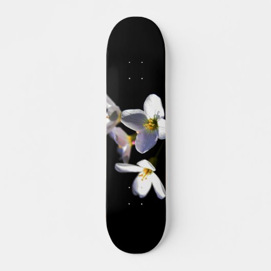 Cardamine Pratensis Blume sdcna Skateboard (Vorne)