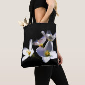 Cardamine Pratensis Blume stcna Tasche (Von Nahem)