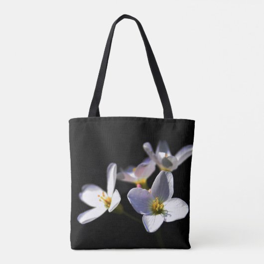 Cardamine Pratensis Blume stcnm Tasche (Rückseite)