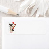 Cardigan Corgi Christmas (Insitu)