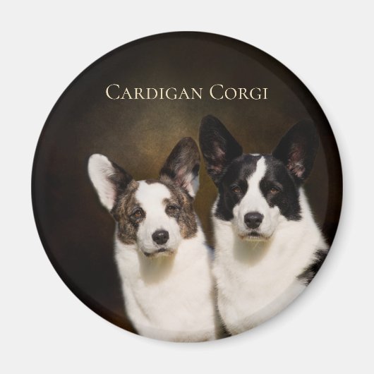 Cardigan Corgi Kühlschrankmagnet (Vorne)