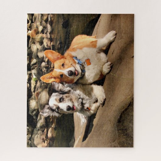 Cardigan und Pembroke Welsh Corgis Puzzle (Vertikal)