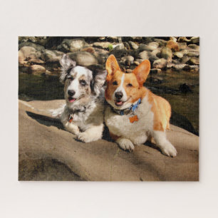 Cardigan und Pembroke Welsh Corgis Puzzle