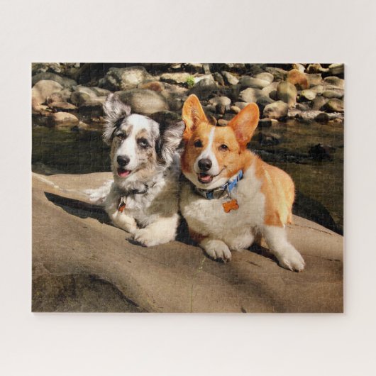 Cardigan und Pembroke Welsh Corgis Puzzle (Horizontal)