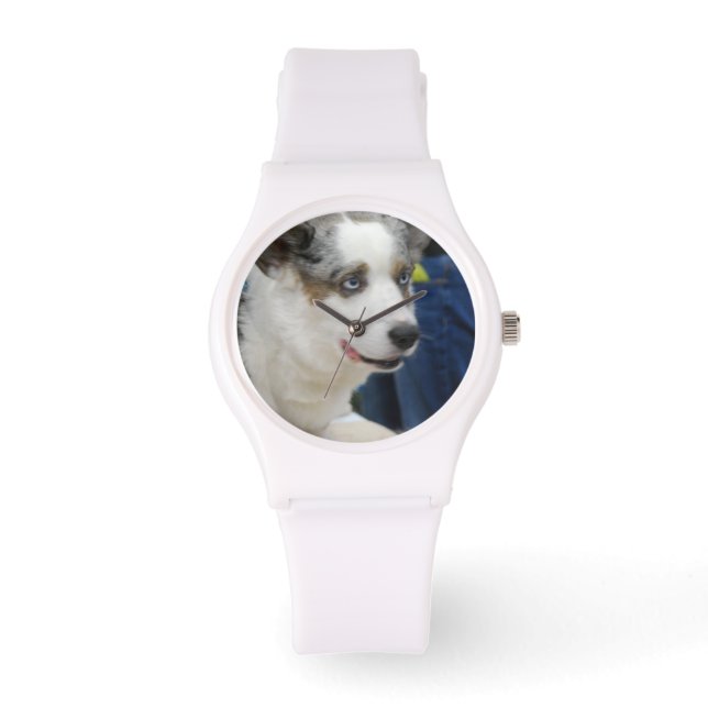 Cardigan Welsh Corgi Dog Armbanduhr (Vorderseite)