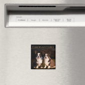 Cardigan Welsh Corgi Magnet (In Situ (Geschirrspüler))