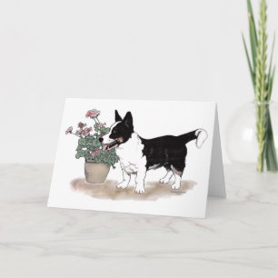 Cardigan Welsh Corgi Notecard Karte