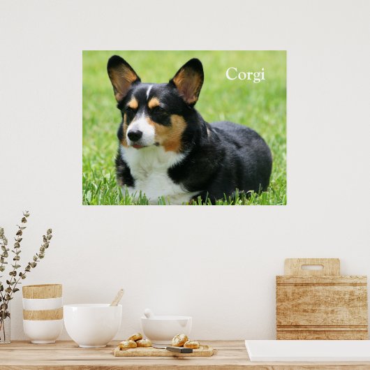 Cardigan Welsh Corgi Poster (Küche)