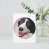Cardigan Welsh Corgi Postkarte (Stehend Vorderseite)
