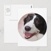 Cardigan Welsh Corgi Postkarte (Vorne/Hinten)