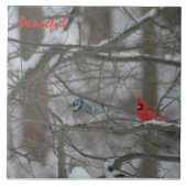 Cardinal and Jay Fliese (Vorderseite)