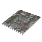 Cardinal and Jay Fliese (Seite)