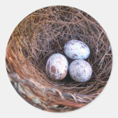 Cardinal Eggs Sticker (Vorderseite)