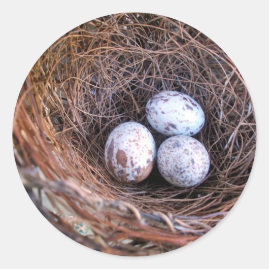 Cardinal Eggs Sticker (Vorderseite)