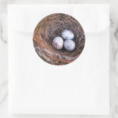 Cardinal Eggs Sticker (Tasche)