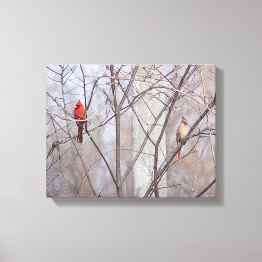 Cardinal family leinwanddruck (Vorderseite)