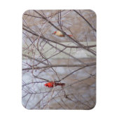 Cardinal family magnet (Vertikal)