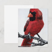 Cardinal  feiertagskarte (Vorne/Hinten)